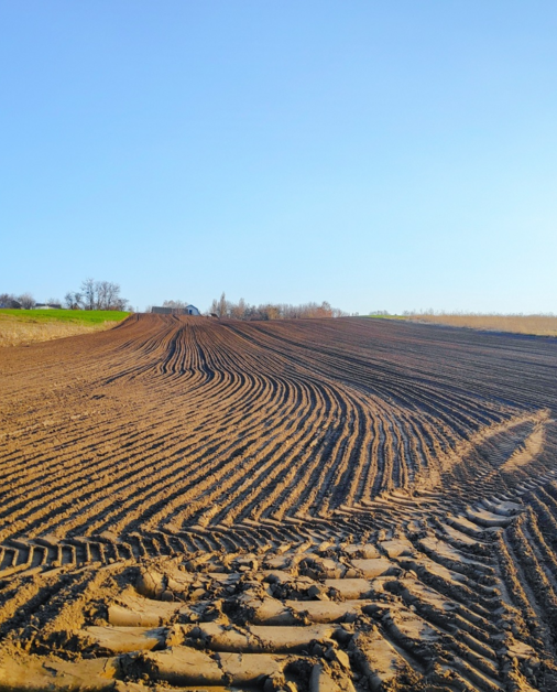 Hoeveel lavameel heb je nodig? De dosering per toepassing