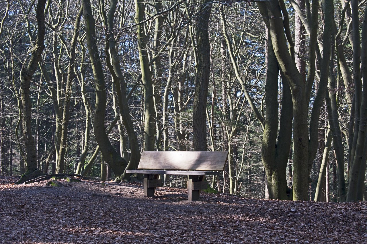 Steenmeel of kalk in het bos? De verschillen op een rij